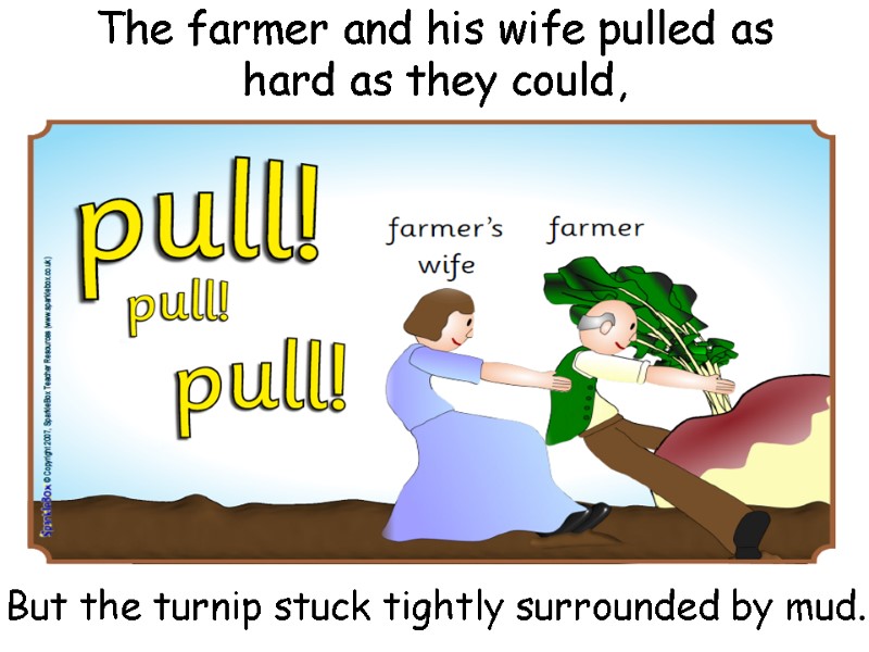 The farmer and his wife pulled as hard as they could,  But the